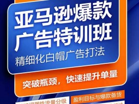 亚马逊爆款广告特训班，快速掌握亚马逊关键词库搭建方法，有效优化广告数据并提升旺季销量