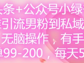微头条+公众号小绿书，精准引流男粉到私域卖套图，无脑操作，有手就行，每单99-200，每天5单