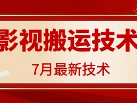 7月29日最新影视搬运技术，各种破百万播放