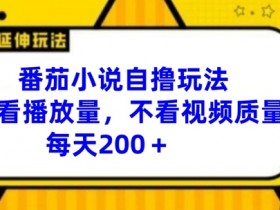 番茄小说自撸玩法，不看播放量，不看视频质量，每天200+【揭秘】