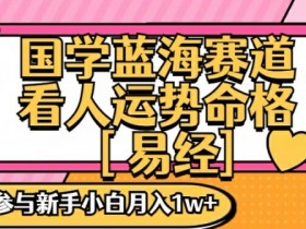 国学蓝海赋能赛道，零基础学习，手把手教学独一份新手小白月入1W+【揭秘】