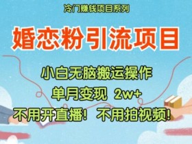 小红书婚恋粉引流，不用开直播，不用拍视频，不用做交付【揭秘】