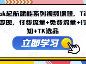 TikTok起航赋能系列视频课程，TikTok流量变现，付费流量+免费流量+行业认知+TK选品