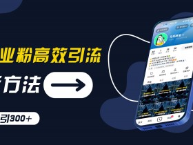 创业粉高效引流，抖音工具号玩法，日引300+，不要成为学习高手，要成为实战高手【揭秘】