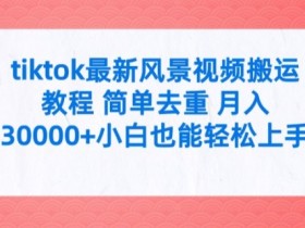 tiktok最新风景视频搬运教程 简单去重 月入3W+小白也能轻松上手【揭秘】