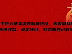 快手磁力聚星游戏自撸玩法，看看游戏广告获得收益，稳定项目，收益看自己时间【揭秘】