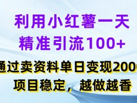 利用小红书一天精准引流100+，通过卖项目单日变现2k+，项目稳定，越做越香【揭秘】