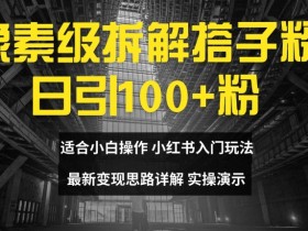 像素级拆解搭子粉，日引100+，小白看完可上手，最新变现思路详解【揭秘】