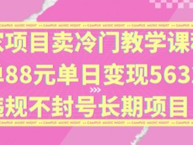 独家项目卖冷门教学课程一单88元单日变现5632元违规不封号长期项目【揭秘】