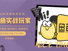 从0到1系统玩转闲鱼变现，教你核心选品思维，提升产品曝光及转化率