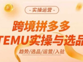 跨境拼多多TEMU实操与选品，多多temu跨境选品运营实操