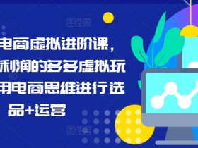 拼多多电商虚拟进阶课，学习高利润的多多虚拟玩法，利用电商思维进行选品+运营