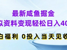 最新咸鱼掘金，虚拟资料变现，轻松日入400+，小白福利，0投入当天见收益【揭秘】