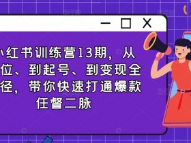 小红书训练营13期，从定位、到起号、到变现全路径，带你快速打通爆款任督二脉