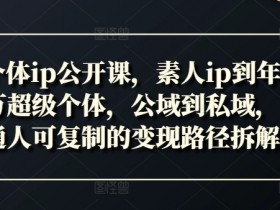 新个体ip公开课，素人ip到年入百万超级个体，公域到私域，普通人可复制的变现路径拆解