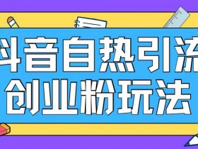 抖音引流创业粉自热玩法日引200+精准粉