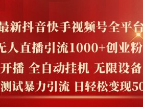 最新抖音快手视频号全平台无人直播引流1000+精准创业粉，日轻松变现5k+【揭秘】