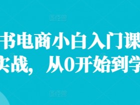 小红书电商小白入门课，店群实战，从0开始到学会