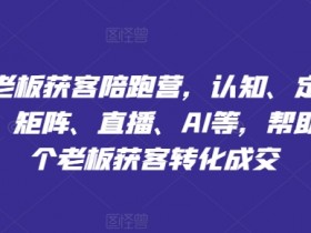 实体老板获客陪跑营，认知、定位、文案、矩阵、直播、AI等，帮助上万个老板获客转化成交