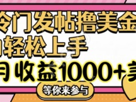 冷门发帖撸美金项目，月收益1000+美金，简单无脑，干就完了【揭秘】