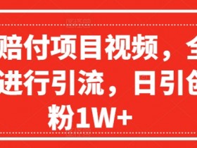 爆火赔付项目视频，全网平台进行引流，日引创业粉1W+【揭秘】