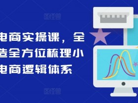 小红书电商实操课，全体系打造全方位梳理小红书电商逻辑体系