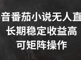 抖音番茄小说无人直播，长期稳定收益高，可矩阵操作【揭秘】