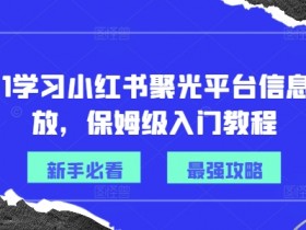 从0-1学习小红书聚光平台信息流投放，保姆级入门教程