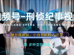 利用刑侦纪实视频，赚视频号分成计划收益，操作简单，新手小白轻松月入过万【揭秘】