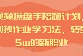 IP短视频操盘手陪跑计划，全平台独创抄作业学习法，转型月入5w的新职业