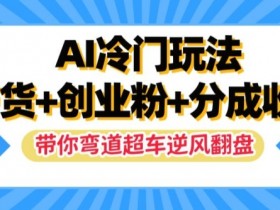 AI冷门玩法，带货+创业粉+分成收益，带你弯道超车，实现逆风翻盘【揭秘】