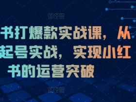 小红书打爆款实战课，从0到1起号实战，实现小红书的运营突破