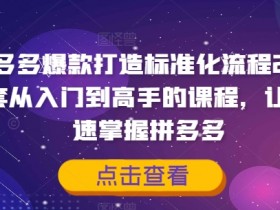 拼多多爆款打造标准化流程2.0，一套从入门到高手的课程，让你快速掌握拼多多