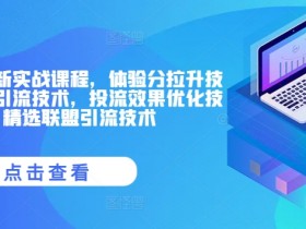抖音小店最新实战课程，体验分拉升技术，商品卡引流技术，投流效果优化技术，精选联盟引流技术