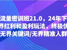 线上流量密训班21.0，24年下半年-无界红利和盈利玩法，终极优化/无界关键词/无界精准人群