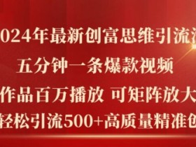 2024年最新创富思维日引流500+精准高质量创业粉，五分钟一条百万播放量爆款热门作品【揭秘】