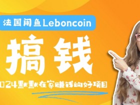 法国闲鱼Leboncoin跨境电商教程：环境邮箱电话解决产品上传及流量，悄悄赚钱【揭秘】