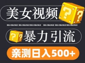 搬运tk美女视频全网分发，日引s粉300+，轻松变现，不限流量不封号【揭秘】