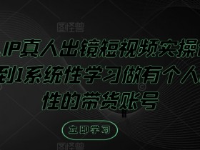个人IP真人出镜短视频实操课，从0到1系统性学习做有个人ip属性的带货账号