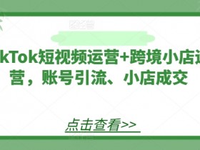 TikTok短视频运营+跨境小店运营，账号引流、小店成交