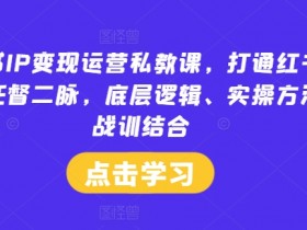 小红书IP变现运营私教课，打通红书IP变现任督二脉，底层逻辑、实操方法、战训结合