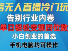微信无人直播冷门玩法，告别行业内卷，单日轻松变现四位数，小白的创业首选【揭秘】