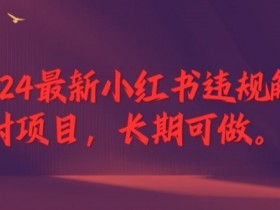 2024最新小红书违规解封项目，长期可做，一个可以做到退休的项目【揭秘】
