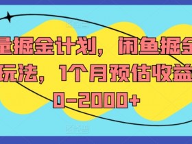 流量掘金计划，闲鱼掘金全案玩法，1个月预估收益500-2000+