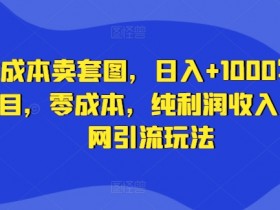 零成本卖套图，日入+1000写真项目，零成本，纯利润收入，全网引流玩法