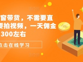 视频号橱窗带货，不需要直播，不需要拍视频，一天佣金300左右