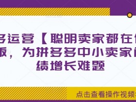 拼多多运营【聪明卖家都在做】无水印版，为拼多多中小卖家解决业绩增长难题