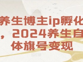 养生博主ip孵化课，2024养生自媒体旗号变现
