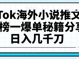 TikTok海外小说推文项目，榜一爆单秘籍分享，日入几千刀