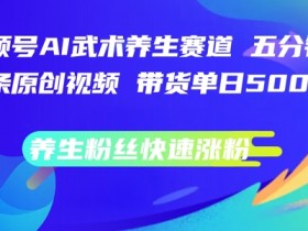 视频号AI武术养生赛道，五分钟一条原创视频，带货单日几张，养生粉丝快速涨粉【揭秘】
